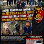 IMG-20260811-WA0084