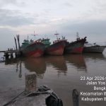 IMG-20260813-WA0113